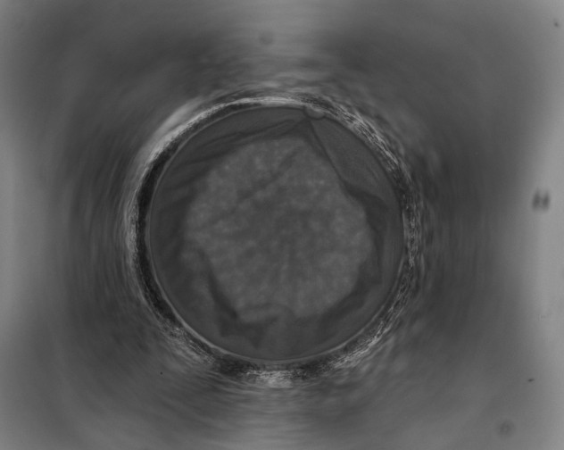 X0000097910295200804041507