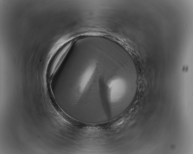 X0000097910296200804041507