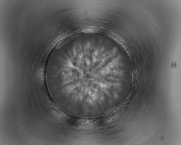 X0000097910297200804041507