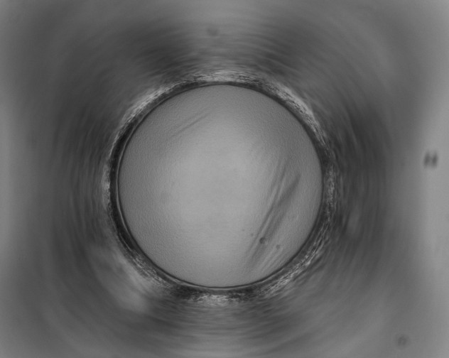 X0000097910298200804041507