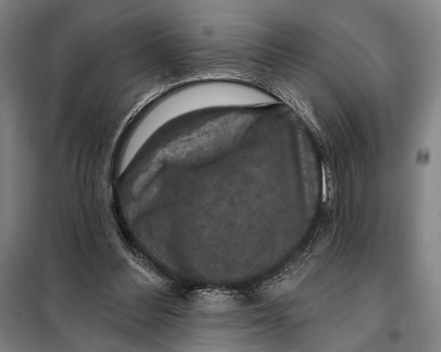 X0000097910300200804041507