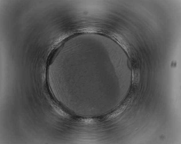 X0000097910301200804041507