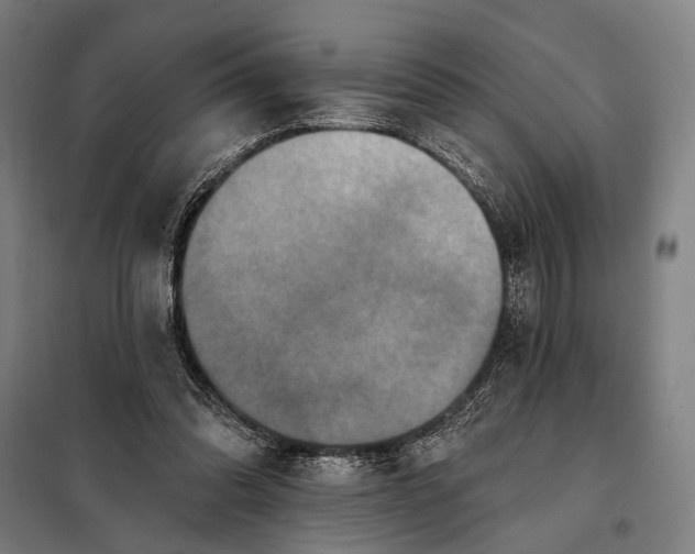 X0000097910302200804041507