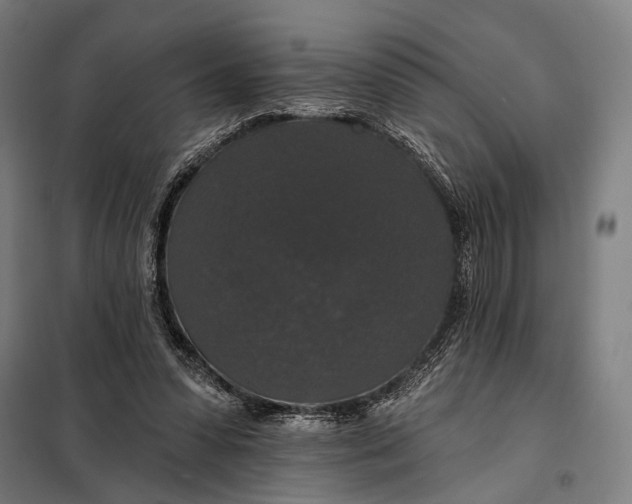 X0000097910303200804041507