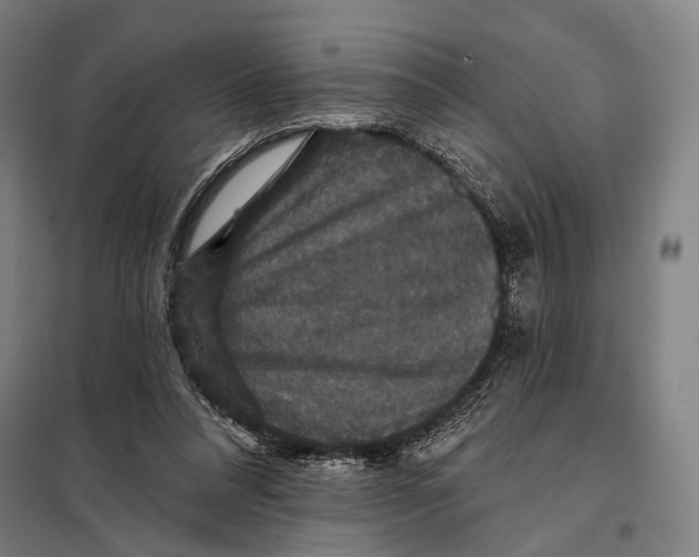 X0000097910304200804041507