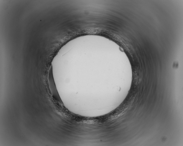 X0000097910307200804041507