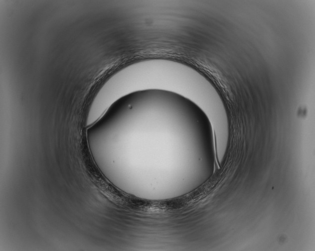 X0000097910308200804041507