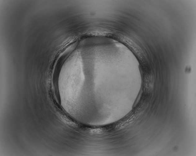 X0000097910309200804041507