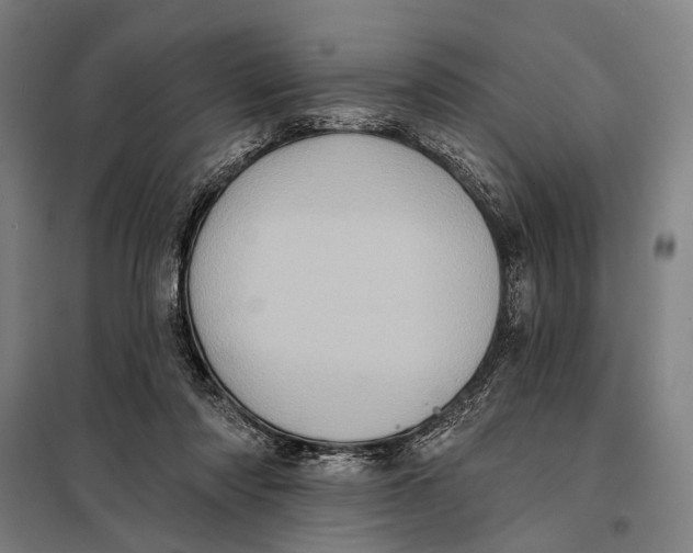 X0000097910310200804041507