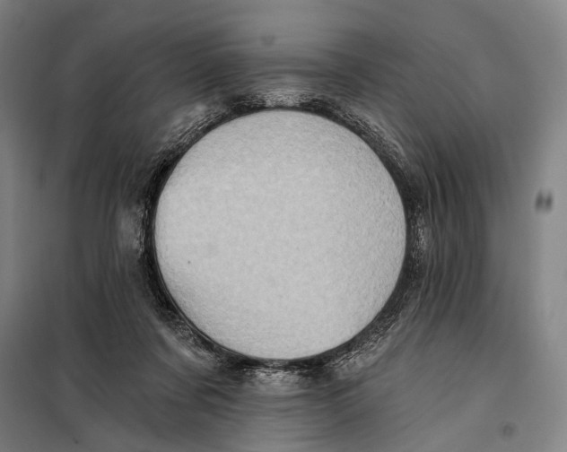 X0000097910311200804041507