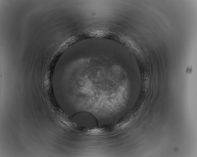 X0000097910312200804041507