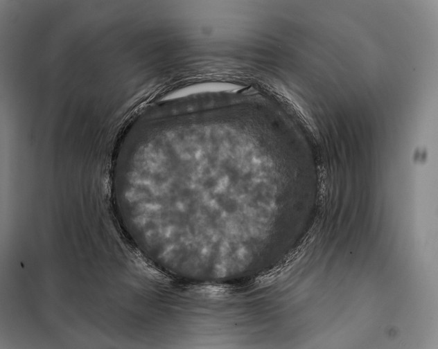 X0000097910313200804041507