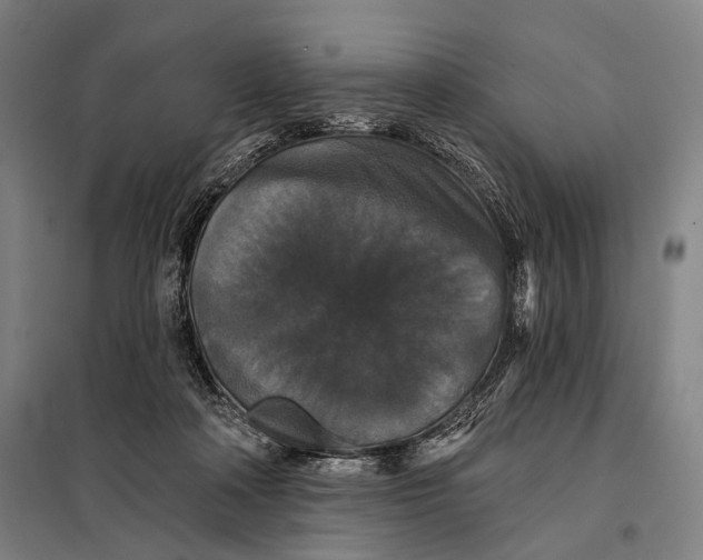 X0000097910314200804041507