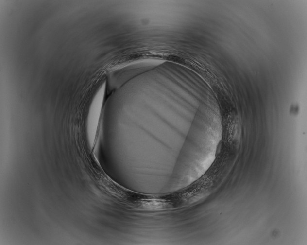 X0000097910316200804041507