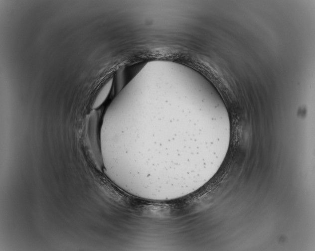 X0000097910317200804041507