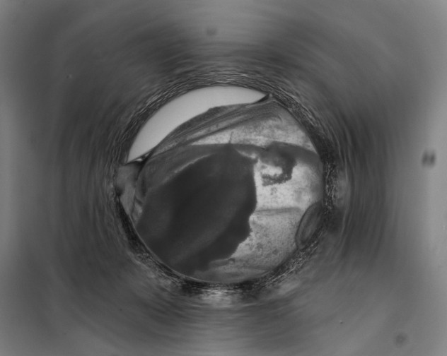 X0000097910319200804041507