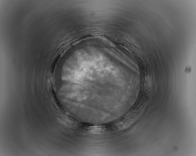 X0000097910320200804041507