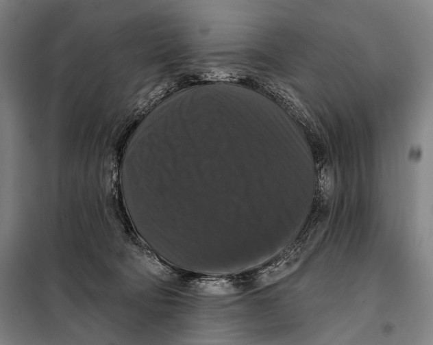 X0000097910322200804041507