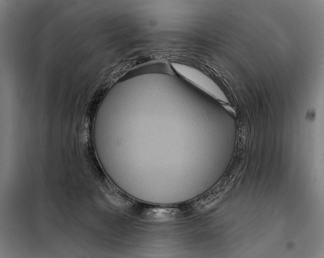 X0000097910323200804041507