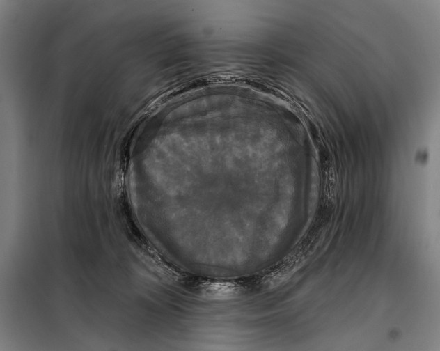 X0000097910324200804041507