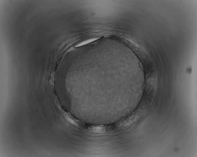 X0000097910325200804041507