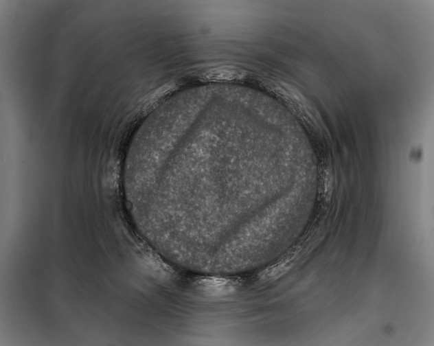 X0000097910326200804041507