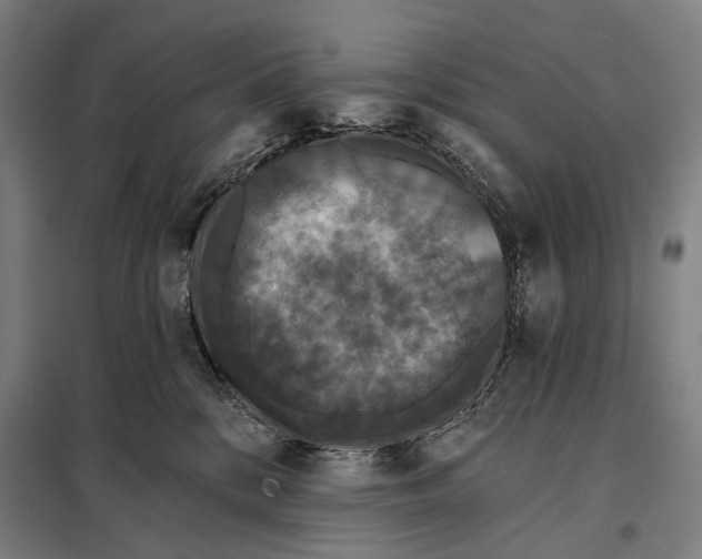 X0000097910328200804041507