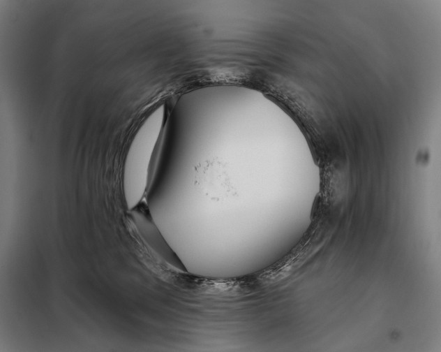 X0000097910329200804041507