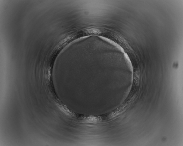 X0000097910330200804041507