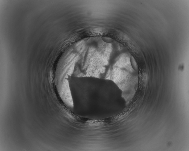 X0000097910331200804041507