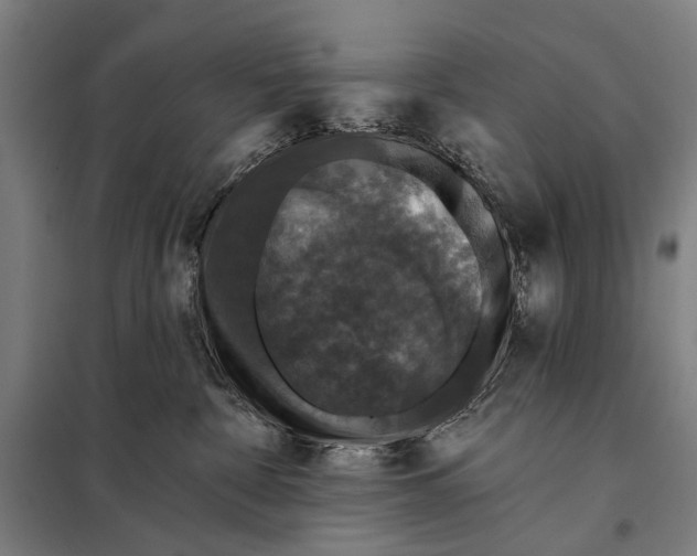 X0000097910332200804041507