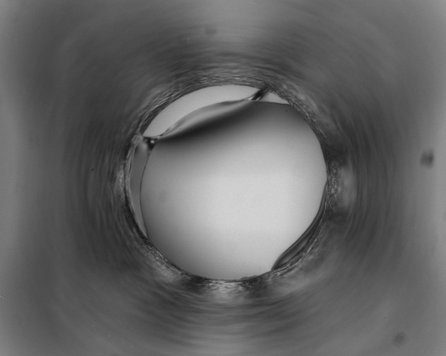 X0000097910333200804041507