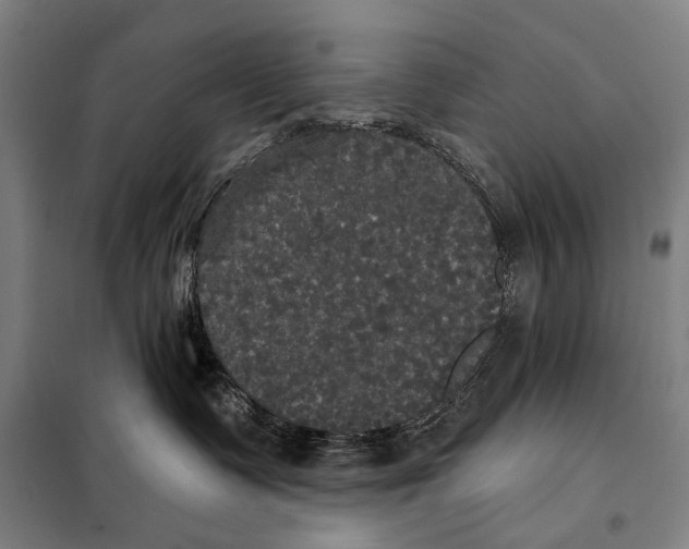 X0000097910335200804041507