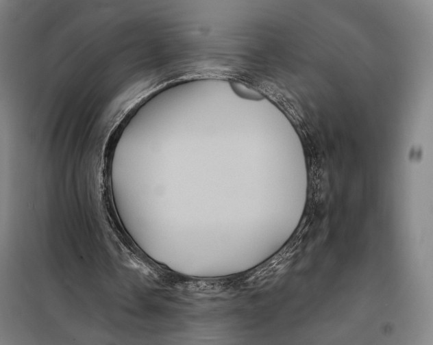 X0000097910338200804041506