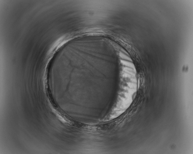 X0000097910339200804041506