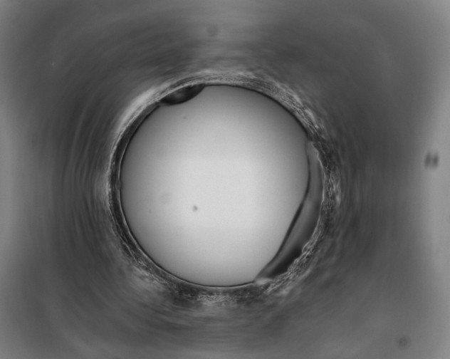 X0000097910340200804041506