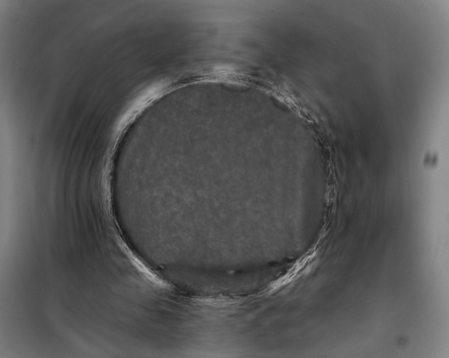 X0000097910341200804041506