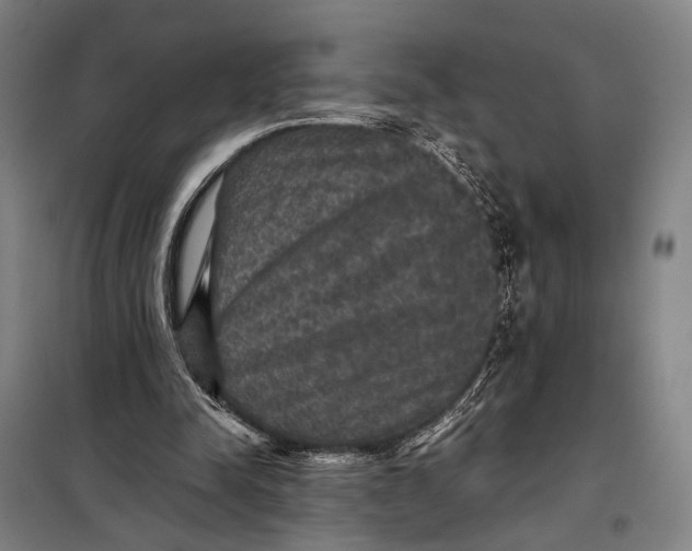 X0000097910342200804041506