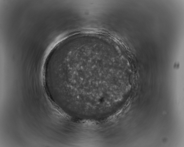 X0000097910343200804041506