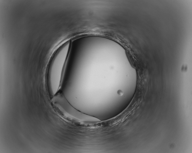 X0000097910344200804041506