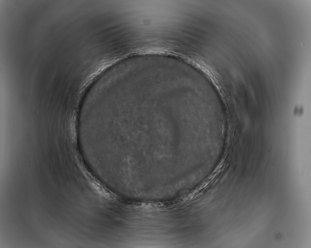 X0000097910345200804041506