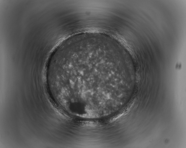 X0000097910347200804041506