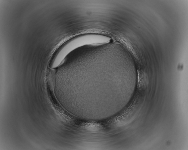 X0000097910348200804041506