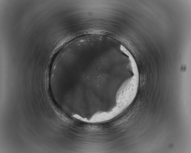 X0000097910349200804041506