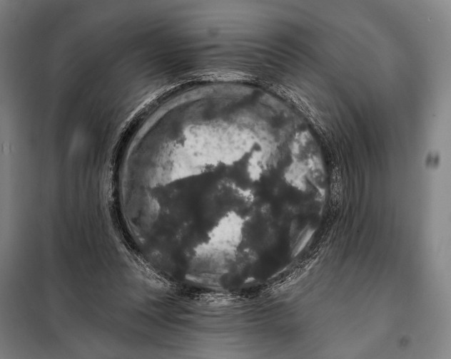 X0000097910351200804041506