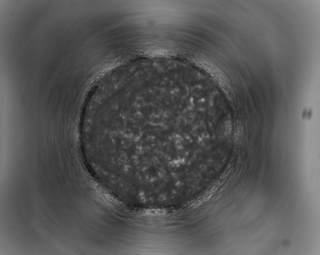 X0000097910353200804041506