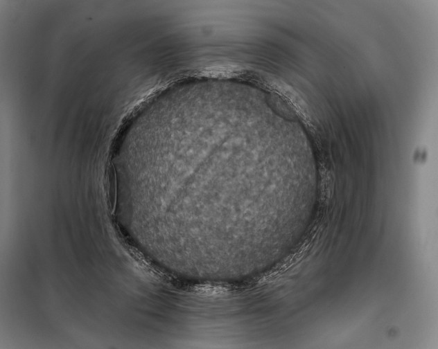 X0000097910354200804041506