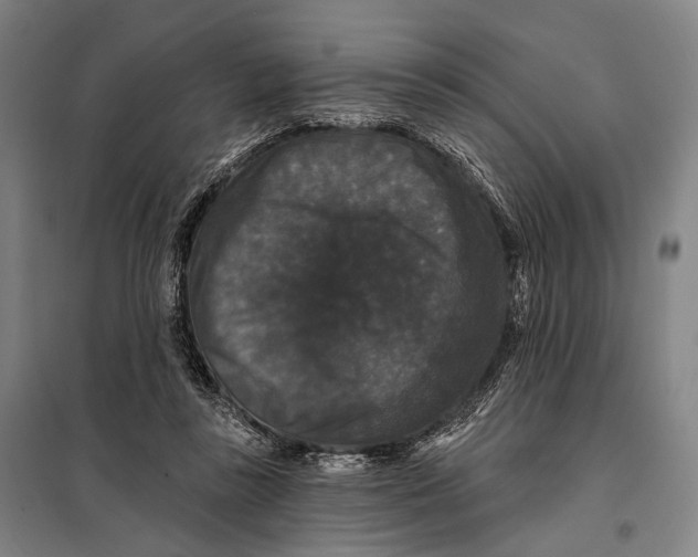 X0000097910355200804041506