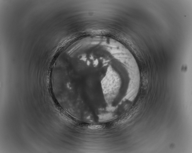 X0000097910357200804041506