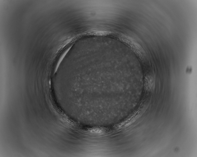 X0000097910358200804041506